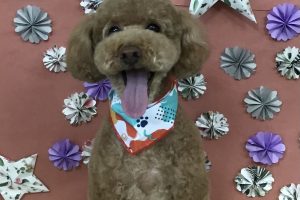 5月のお友達☆