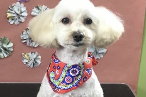 5月のお友達☆