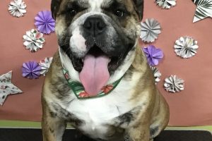 5月のお友達☆
