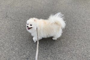 お泊り☆