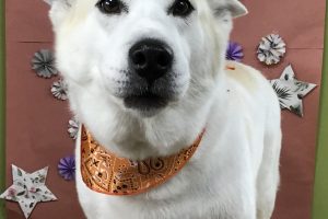 ５月のお友達☆