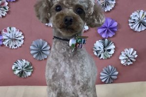 5月のお友達☆