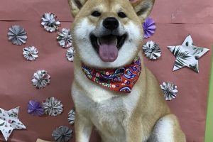 ５月のお友達☆