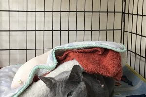 お泊まり中☆