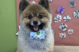 5月のお友達☆