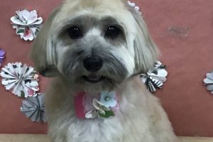 5月のお友達☆