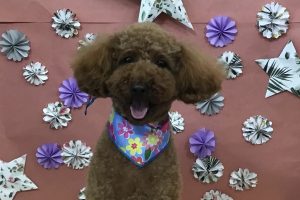 ５月のお友達☆