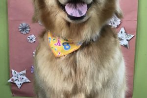 5月のお友達☆