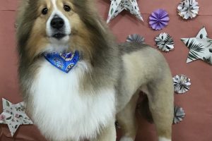 ５月のお友達☆