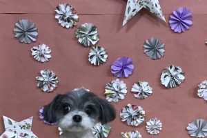 ５月のお友達☆