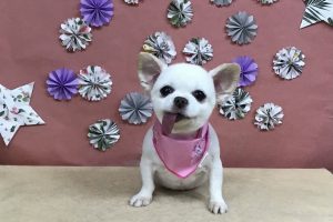 ５月のお友達☆