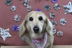 5月のお友達☆