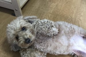 お泊まり中☆