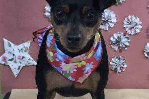 5月のお友達☆