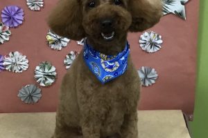 5月のお友達☆
