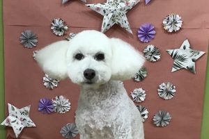 ５月のお友達☆