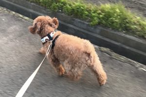お泊まり☆