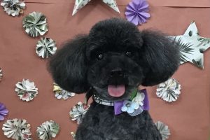 5月のお友達☆