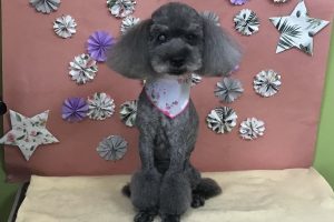 ５月のお友達☆