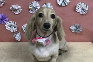 ５月のお友達☆