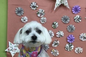 5月のお友達☆