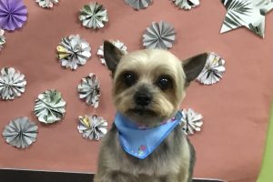 5月のお友達☆