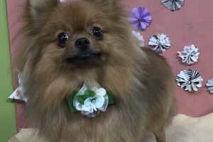 5月のお友達☆