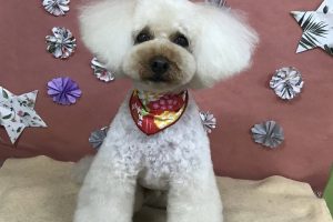 5月のお友達☆