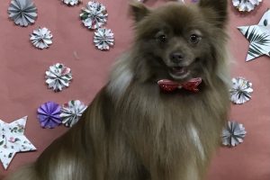 5月のお友達☆
