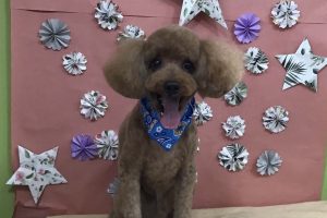 ５月のお友達☆