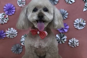5月のお友達☆