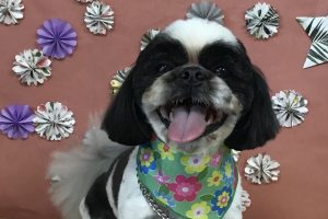 ５月のお友達☆