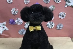 ５月のお友達☆