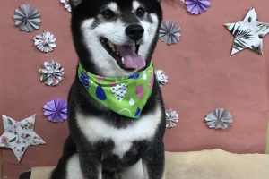 ５月のお友達☆
