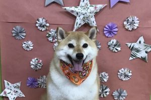 ５月のお友達☆