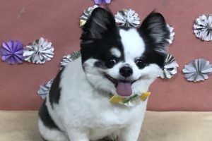 5月のお友達☆