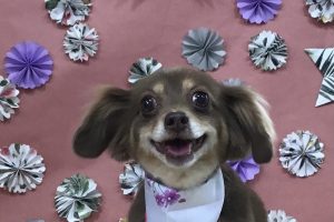 5月のお友達☆