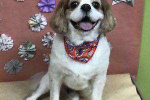 ５月のお友達☆