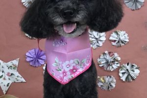 5月のお友達☆