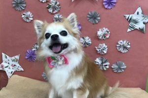 ５月のお友達☆