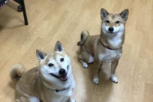 お泊り中☆
