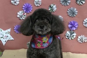 5月のお友達☆
