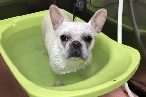 5月のお友達☆