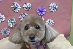 5月のお友達☆
