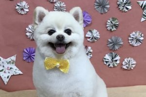 5月のお友達☆