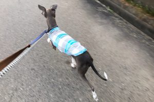 お泊まり☆