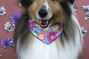 5月のお友達☆