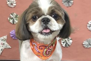 5月のお友達☆