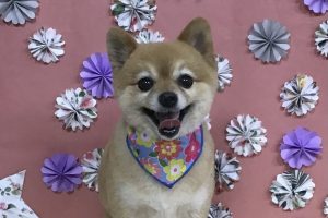 5月のお友達☆
