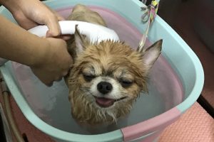 5月のお友達☆